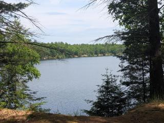 New! The Hideout - Cute And Quiet Rustic Cabin! - Oscoda - 6