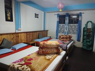 Winter Inn Homestay - Lava - 9