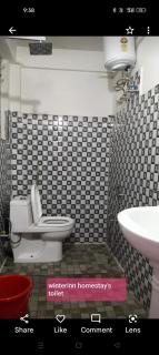 Winter Inn Homestay - Lava - 8