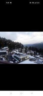 Winter Inn Homestay - Lava - 4