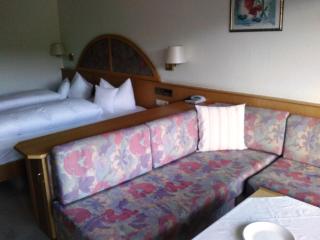 Hotel Schauinsland - Bad Peterstal-Griesbach - 8