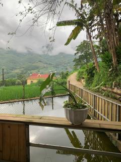 Rice Homestay - Sapa - 5