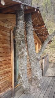 Cabane de la Bannette - Magnifique cabane dans les arbres, vue panoramique - Thoard - 4