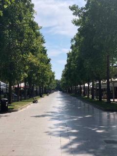 Apartment in Porto Santa Margherita 48300 - 5