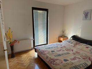 Apartmani u centru Tuzle - Tuzla - 7