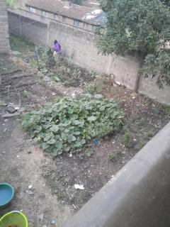 Nofours - Nairobi - 3