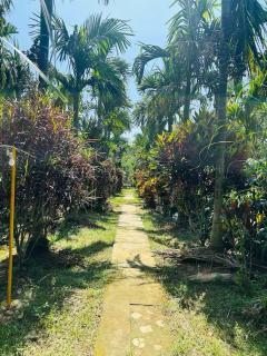 Nature stay - Private Water stream and Swimming Pool - Aldūr - 6