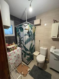 Apartman Strahinja - 5