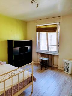 Charming 2 rooms with bikesfer - Strasburgo - 5