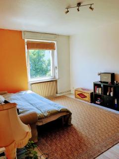 Charming 2 rooms with bikesfer - Strasburgo - 4