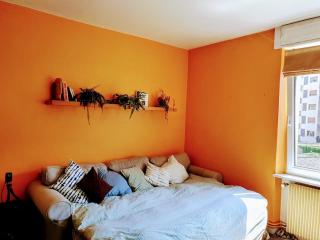 Charming 2 rooms with bikesfer - Strasburgo - 1