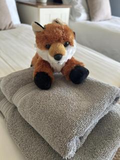 Foxes Hotel - Minehead - 5