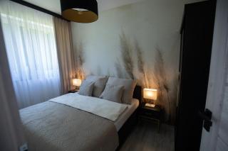 Aparthouse Kretowiny - Kretowiny - 5