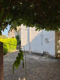 Desiderio D'Ammore CILENTO - Pioppi - 5