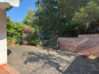 Desiderio D'Ammore CILENTO - Pioppi - 6