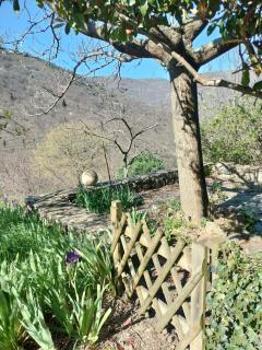 La Maisonnette Des Cévennes - Sablières - 8