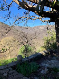 La Maisonnette Des Cévennes - Sablières - 7