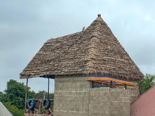 Home Villa Eco Boutique - Arusha - 8