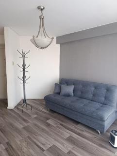 Departamento de 2 domitorios cerca del centro de La Paz - La Paz - 4