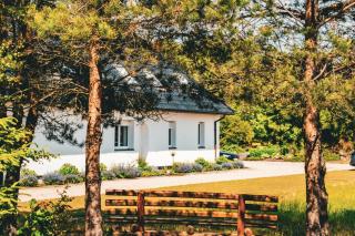 Las Apartamenty - z pomostem i prywatnym dostępem do jeziora - Borowy Młyn - 1
