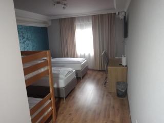 Vila Kristina - Negotin - 9