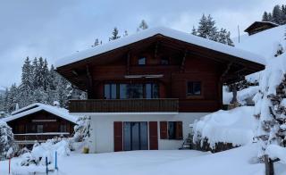 Chalet Schneelöwe - Arni Alp - 0