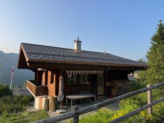 Chalet Schneelöwe - Arni Alp - 8