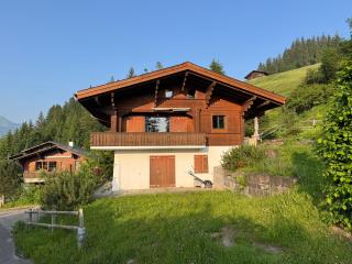 Chalet Schneelöwe - Arni Alp - 9