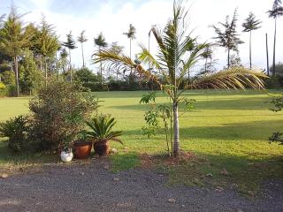 Lemook Gardens - Eldoret - 1