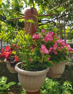 Apartment Zorka - Bribir - 6