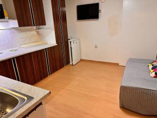 Apartmans and ROOMS with PARKING Turgenevova - Olomoucka - Brno - 5