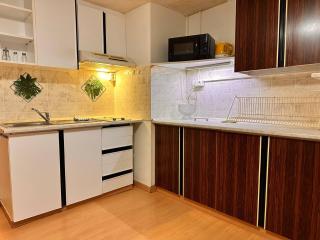 Apartmans and ROOMS with PARKING Turgenevova - Olomoucka - Brno - 2