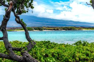 NEW KBM Resorts FREE CAR Oceanfront Kolea-Kai-8 - Waikoloa - 3