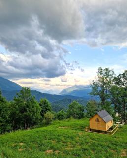 StarsBOX - La Vrata Gialla - 8