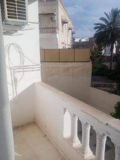 Khezama rue Palm - 7