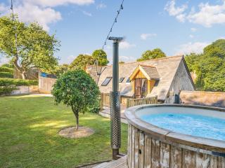Little Hewish Barn - Milton Abbas - 9