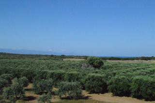 Ecolive Guest House - 2