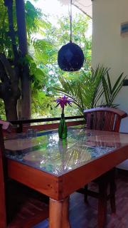 Dhanudi Homestay - Ella - 9
