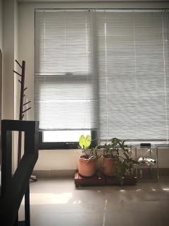 Owl's Night Homestay - Keo House - Ho Chi Minh City - 3