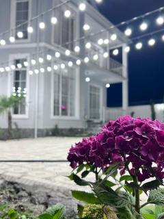 VIP Family Villa - Qəbələ - 6
