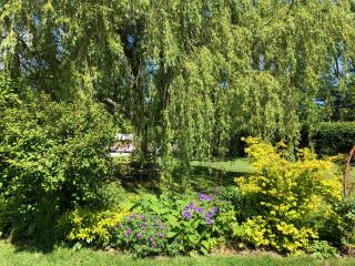 Oak Lodge - Moreton Pinkney - 1