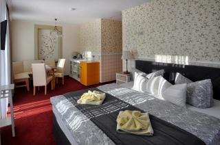Dampfschiffhotel - Stadt Wehlen - 2