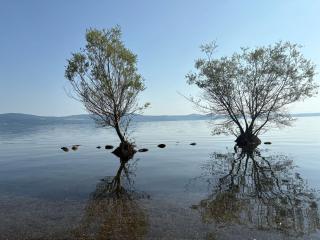 Casa gioia - Bracciano - 6