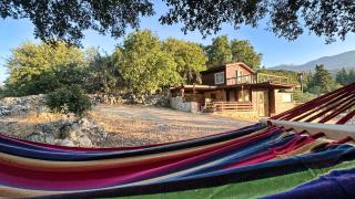 The Root House - Crete Stay - Vafés - 9