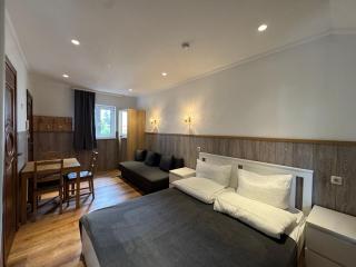 Golden GaPa Smart-Aparthotel - Garmisch-Partenkirchen - 8