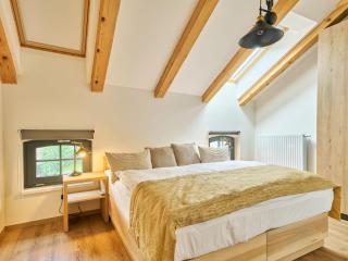 Apartment Aurum B-1 by Interhome - Černý Důl - 0