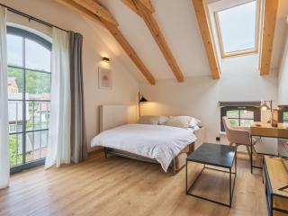Apartment Aurum B-1 by Interhome - Černý Důl - 4