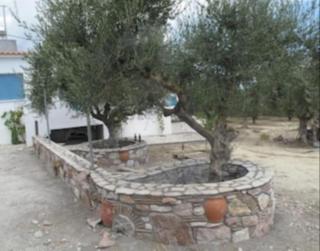 Βίλα με Πισίνα στην Φαλάνθη - Falánthi - 4