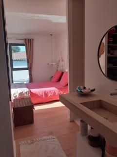 Pin D'Epice - Balaruc-les-Bains - 4