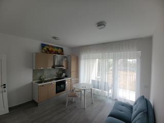 Aqua Duo Central Apartments, garage parking - Oradea - 4
